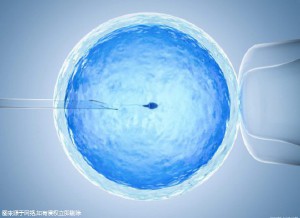 嘉会医疗